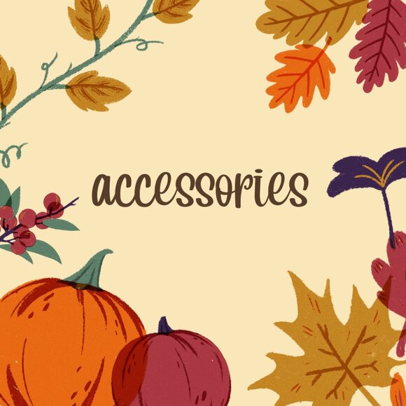 ACCESSORIES -----------------> - Picture 3 of 3